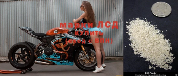 тгк Абинск
