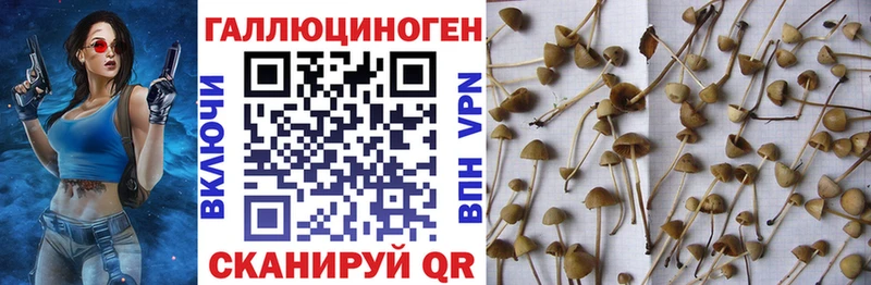 сайты даркнета клад  Углегорск  Галлюциногенные грибы мицелий  MEGA ссылки 